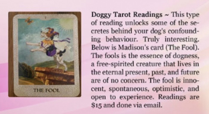 Doggy tarot cards